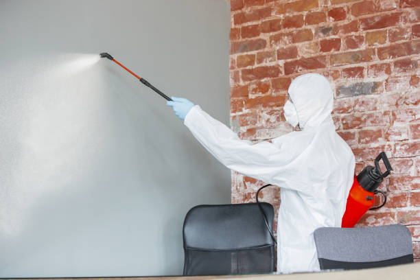 Best Biohazard Mold Removal  in Bridge City, TX